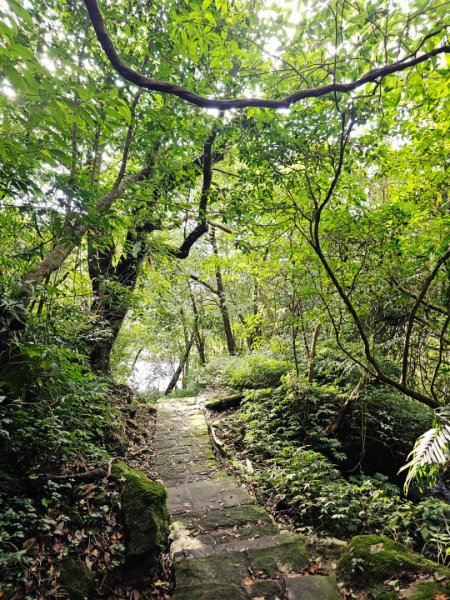 2025臺北大縱走第四段：風櫃口至中華科技大學2973481