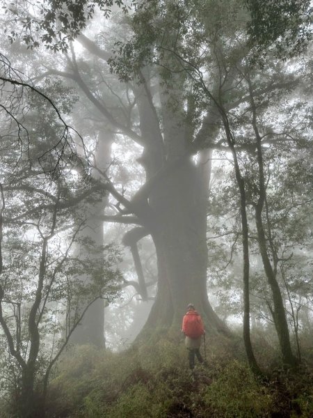 南橫三星 庫哈諾辛山 塔關山 關山嶺山2754844