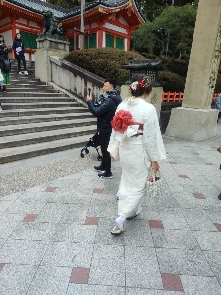 京都清水寺2453603
