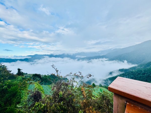 觀霧瀑布 賞鳥步道2926763