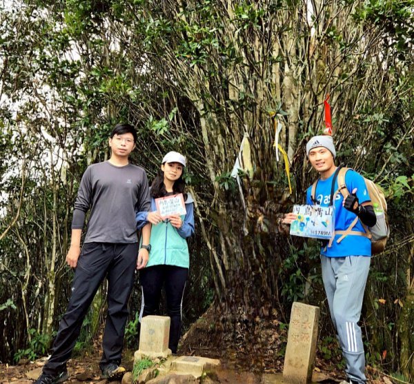 【中級山 】北得拉曼巨木步道，連走內鳥嘴山2875013