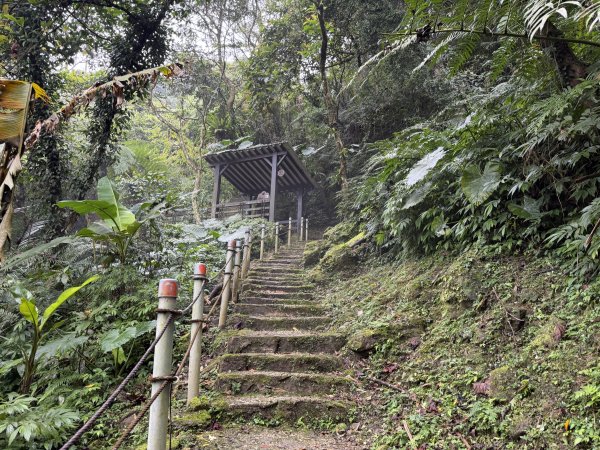 [微笑山線_第四段] 2026_0321 天上山系_天上山3020971