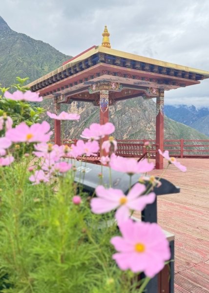 川藏33天深度之旅💙#稻城亞丁-來古冰川2901987