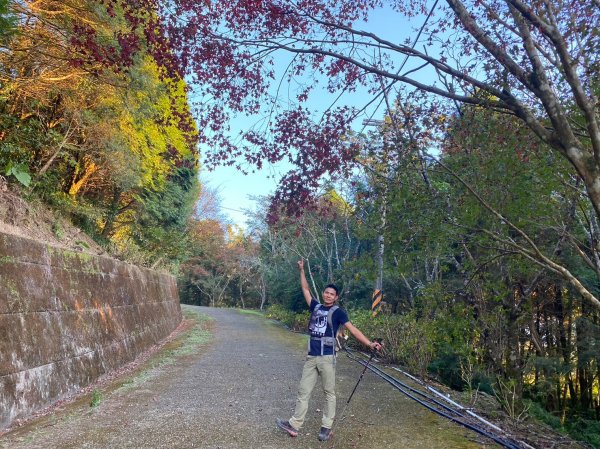 北插天山.赫威山.多崖山.神木群【天堂與地獄並存的神級路線】2390821