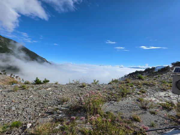 庫哈諾辛山 關山嶺山 溪頭山3135626