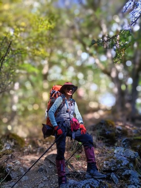 北二段之 甘薯無明2611898