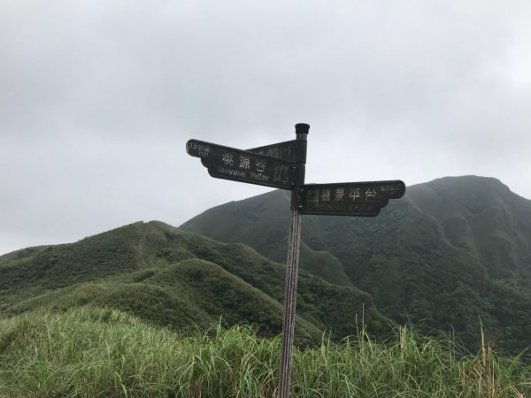 草嶺古道、桃源谷步道2124481