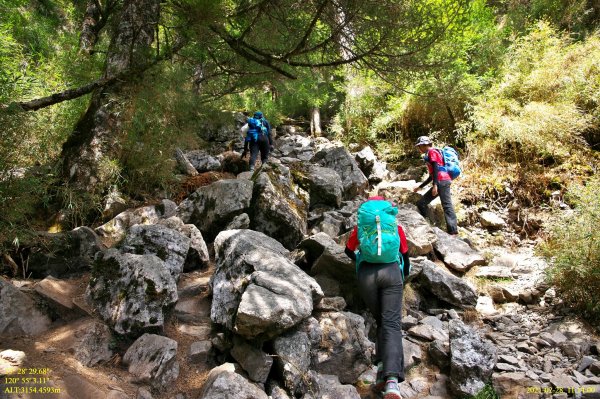 玉山前峰連走麟趾山1294503