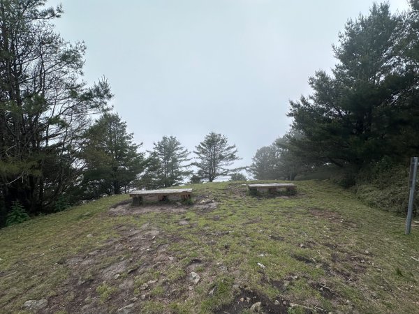 鹿林前山、鹿林山、麟趾山O繞縱走2799643