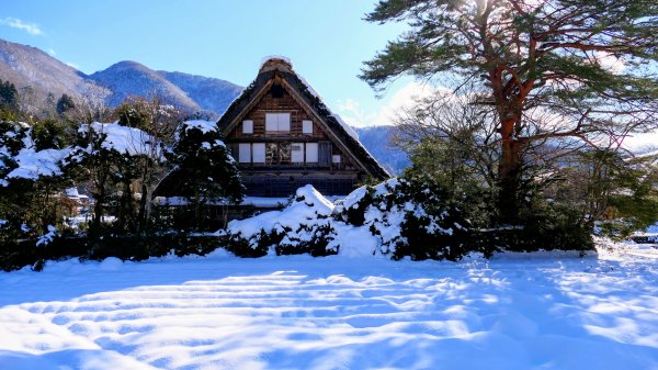 冬日的祈禱合掌村2981206