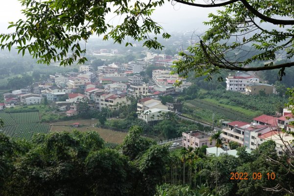 南投 鹿谷 尖子頂山(麒麟山)1841781