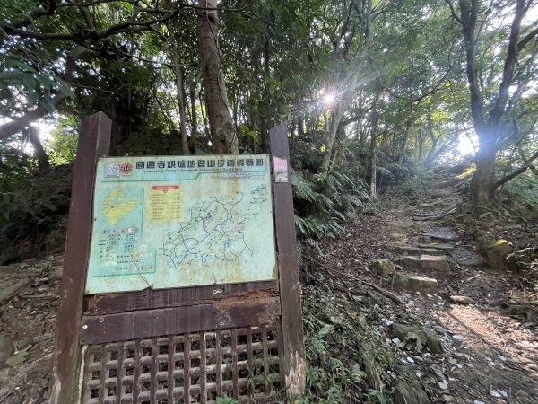[微笑山線_第五段] 2025_0705 天上山系_五尖山2830312