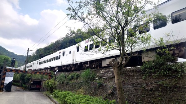 清幽的古道與舊日採礦遺址巡禮瑞芳蛇形子古道登烏塗窟山與獅子嘴奇岩O形2756637