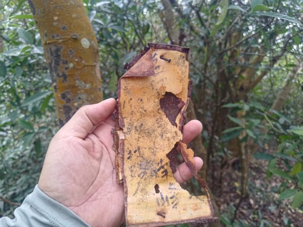 盆貿里山三盆連走2749605