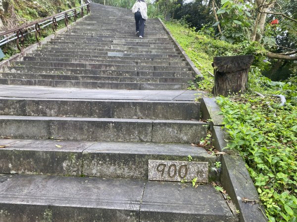 台北大縱走2026｜一天解鎖7顆寶石💎還嚕到4隻貓！第七段｜指南宮千階梯→貓空→樟湖步道→樟山寺3021785