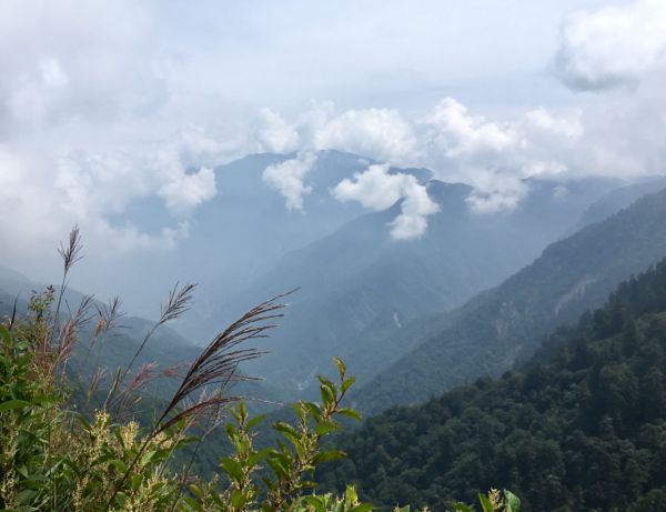 麟趾山388522