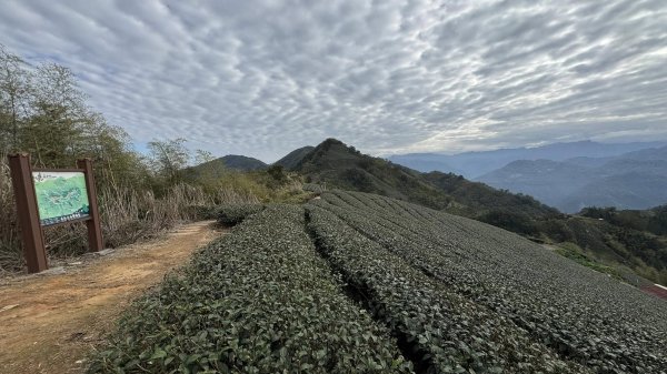20250124小百岳 梨仔腳山及大尖山2703378