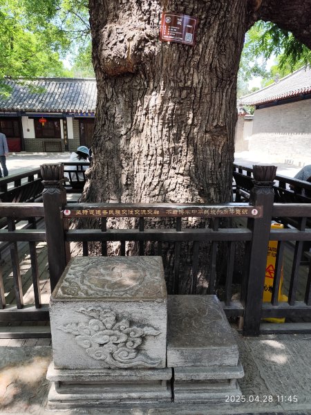 中國山東曲阜孔府、曲阜孔府家宴、濟南銀座購物廣場、濟南雲上天璽大酒店2780717