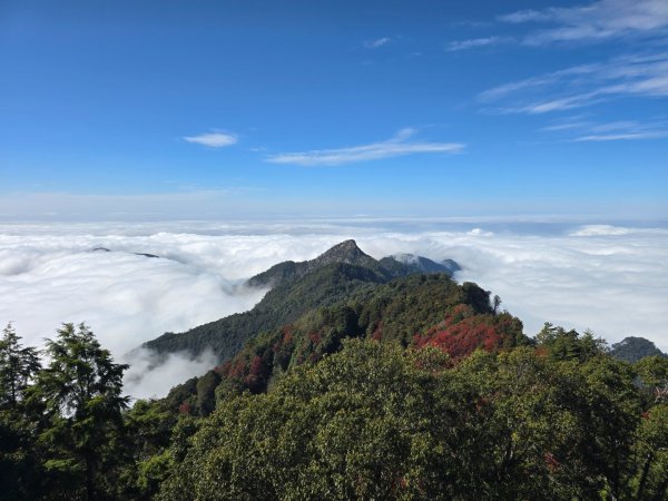 鳶嘴稍來山之楓紅／雲海2974051
