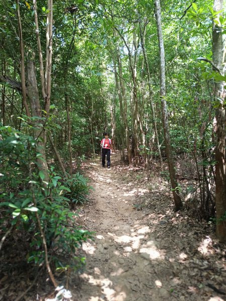 三義火炎山2875825