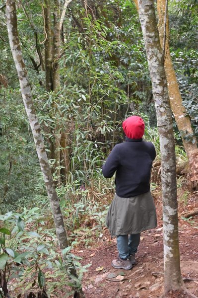 谷關七雄-唐麻丹山2888720