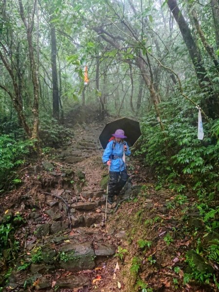 璀璨百年淡蘭古道～中坑古道、崩山坑古道、柑腳山O走1113420