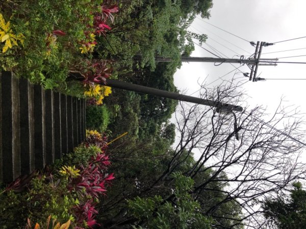 基隆市仁愛區、信義區小百岳紅淡山三等三角點NO.10241517703