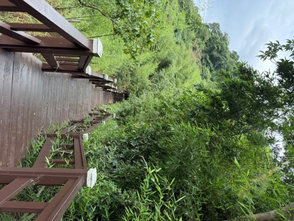 后里觀音山 鳳凰山2816248