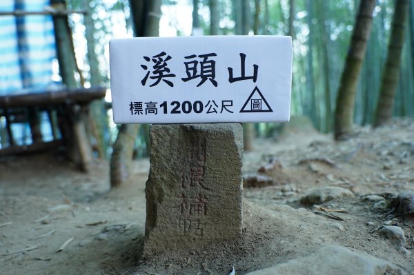 南投 鹿谷 龍鳳山、龍鳳峽山、三叉崙山、水桶寮山、內樹皮山、羊頭崙山、志騰山、竹崙山、溪頭山2962240