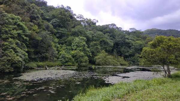 福山植物園封面