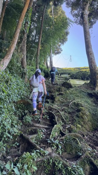 20251005小百岳金柑樹山2906981