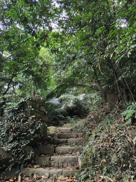 2023.12.23 崁頭山2833297