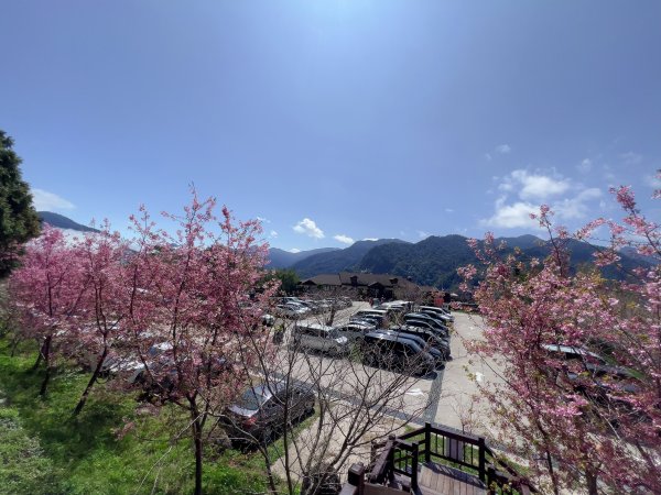 ~ 上帝的部落 - 司馬庫斯 ~3023556