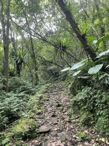 灣潭古道登山口至外澳車站2528468