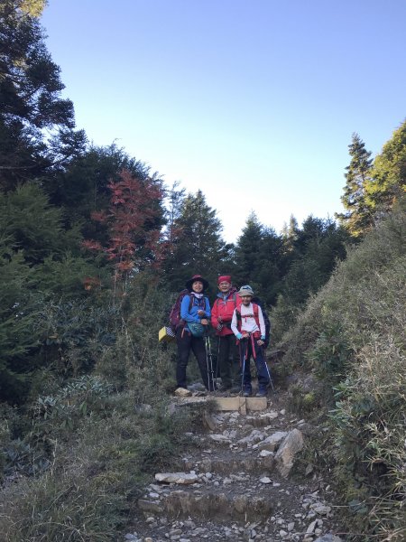 雪山 不下雪532984