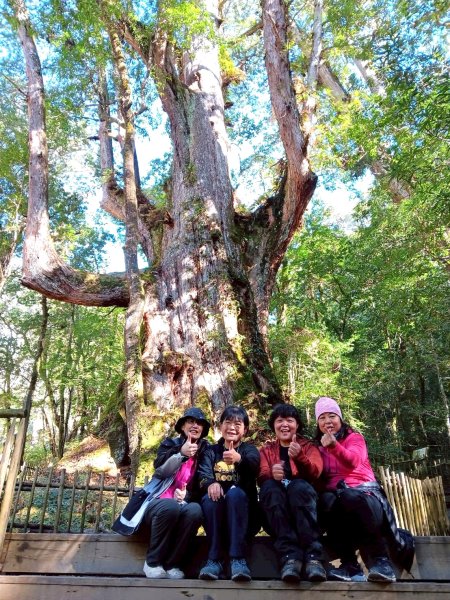 20260104司馬庫斯 &巨木群攀登2978855