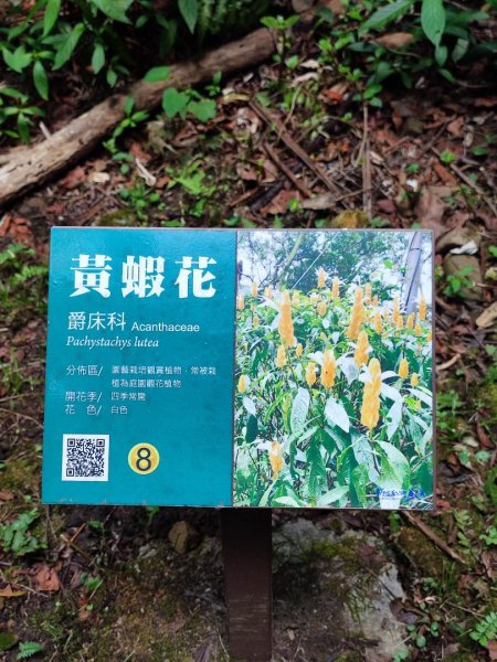 二趴子植物園2218644