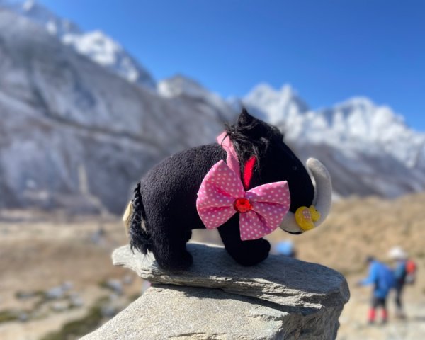 尼泊爾聖母峰EBC基地營❤️風景篇2791010