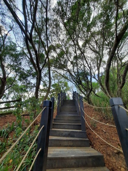 《台中》大肚環保公園登山步道、望高寮賞景1055279