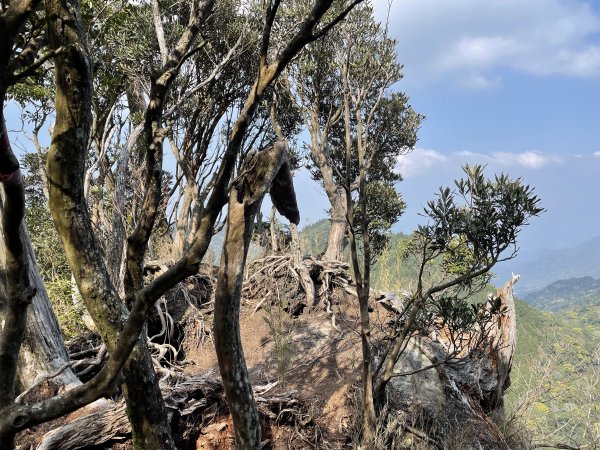 2020/03/12 那結山＆貴妃山 O形縱走1650330