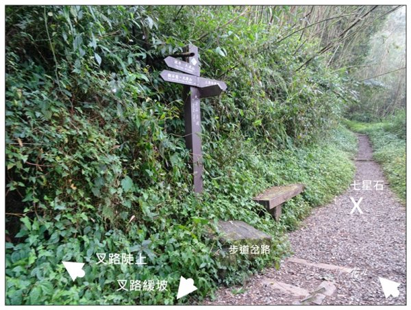 奮起湖大凍山(小百岳)1614098