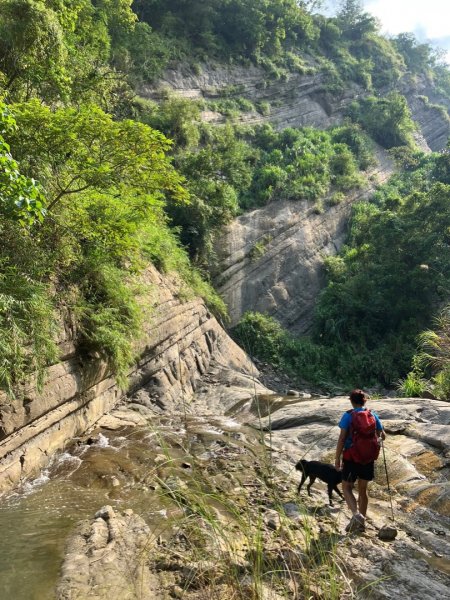 千層岩瀑布丶西阿里關山丶茅山南峰1851175