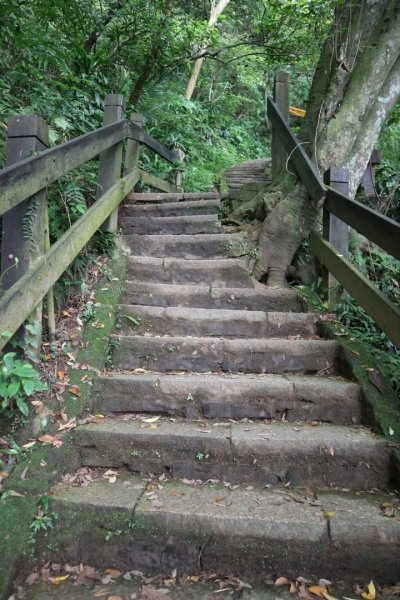 小百岳NO.13南港山，南港山北峰，九五峯2285598