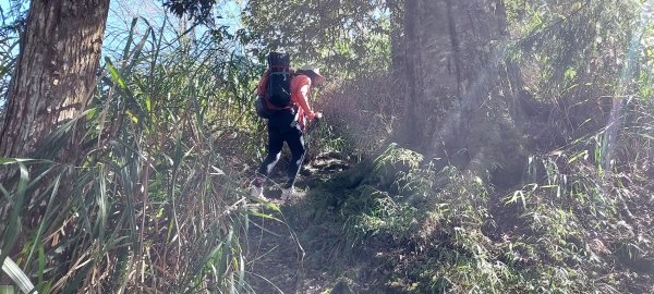 水漾森林、鹿屈山、眠月神木2729644