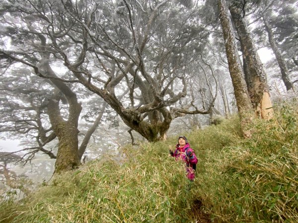 小關山海諾南山3日行--一路的霧淞美景D2  2022/1/121581034