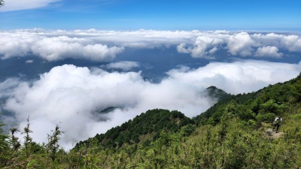 【百岳】郡大山，郡大山北峰，望鄉山2874917