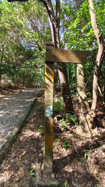 大崙頭尾山2992005