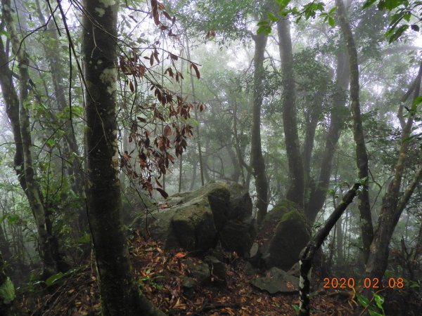 新竹 五峰 鬼澤山828309