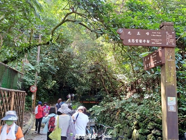 【台北信義】搭捷運爬山趣。 小百岳集起來。編號13小百岳-南港山步道1755555