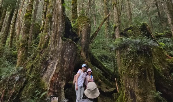 【中級山】宜蘭小百岳，三星山3131378